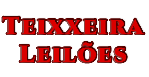 Teixxeira Leilões